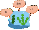 リーフボールの特徴5