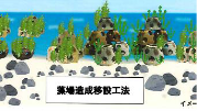 リーフボールの特徴6